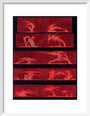Solar prominences, Plate 8, 1872. art print extra small white Art Print - Science Museum Shop
