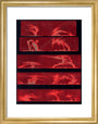 Solar prominences, Plate 8, 1872. art print extra small gold Art Print - Science Museum Shop