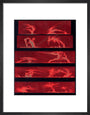 Solar prominences, Plate 8, 1872. art print small black Art Print - Science Museum Shop