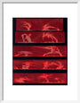 Solar prominences, Plate 8, 1872. art print small white Art Print - Science Museum Shop