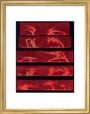 Solar prominences, Plate 8, 1872. art print small gold Art Print - Science Museum Shop