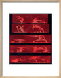 Solar prominences, Plate 8, 1872. art print small natural Art Print - Science Museum Shop