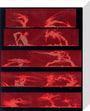 Solar prominences, Plate 8, 1872. stretched canvas small none Art Print - Science Museum Shop