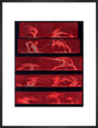 Solar prominences, Plate 8, 1872. art print medium black Art Print - Science Museum Shop