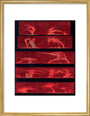Solar prominences, Plate 8, 1872. art print medium gold Art Print - Science Museum Shop