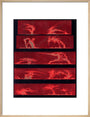 Solar prominences, Plate 8, 1872. art print medium natural Art Print - Science Museum Shop