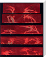 Solar prominences, Plate 8, 1872. stretched canvas medium none Art Print - Science Museum Shop