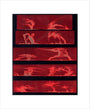 Solar prominences, Plate 8, 1872. art print extra small none Art Print - Science Museum Shop