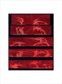 Solar prominences, Plate 8, 1872. art print small none Art Print - Science Museum Shop