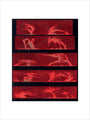 Solar prominences, Plate 8, 1872. art print medium none Art Print - Science Museum Shop