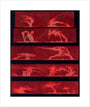 Solar prominences, Plate 8, 1872. unstretched canvas medium none Art Print - Science Museum Shop