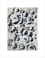 The Lunar Apennines, 1845-1860. unstretched canvas small none Art Print - Science Museum Shop