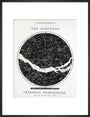 Constellations of the Northern Celestial Hemisphere, c 1850. art print medium black Art Print - Science Museum Shop
