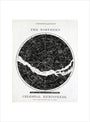Constellations of the Northern Celestial Hemisphere, c 1850. art print small none Art Print - Science Museum Shop