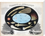 Comets and Aerolites (Meteors), c 1851. stretched canvas medium none Art Print - Science Museum Shop