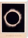 Eclipse of the Sun, 7 August 1869. stretched canvas medium none Art Print - Science Museum Shop