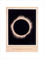 Eclipse of the Sun, 7 August 1869. art print medium none Art Print - Science Museum Shop