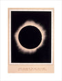Eclipse of the Sun, 7 August 1869. unstretched canvas medium none Art Print - Science Museum Shop