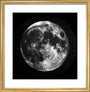 Full Moon, 1858-1868. art print small gold Art Print - Science Museum Shop