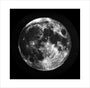 Full Moon, 1858-1868. art print small none Art Print - Science Museum Shop