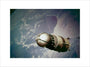 Vostok 1 capsule, 1961. art print small none Art Print - Science Museum Shop