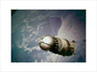 Vostok 1 capsule, 1961. art print medium none Art Print - Science Museum Shop