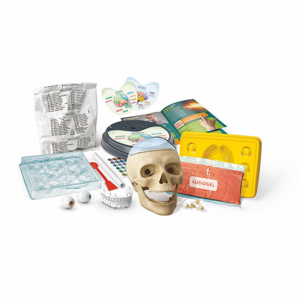 Anatomy Lab Kit Science Museum Shop
