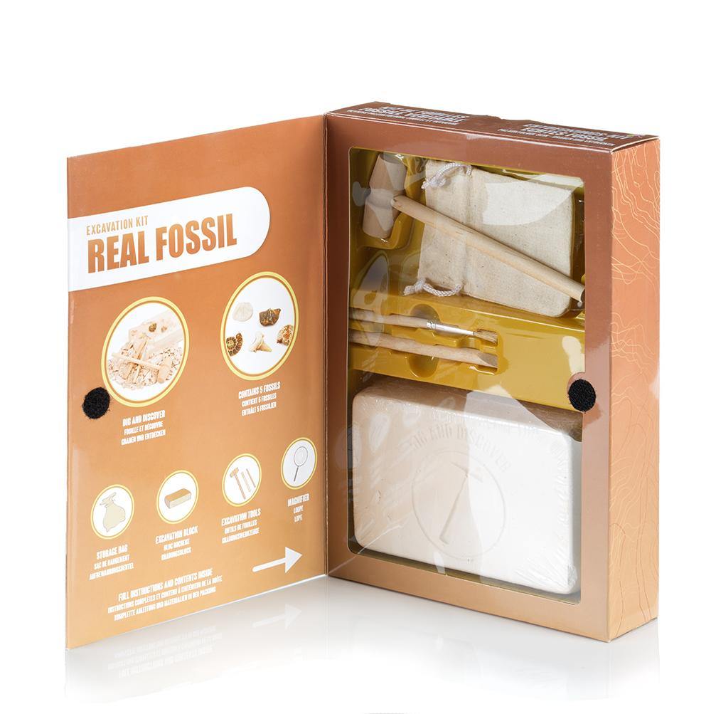 Real Fossil Excavation Dig Kit Gemstones - Science Museum Shop