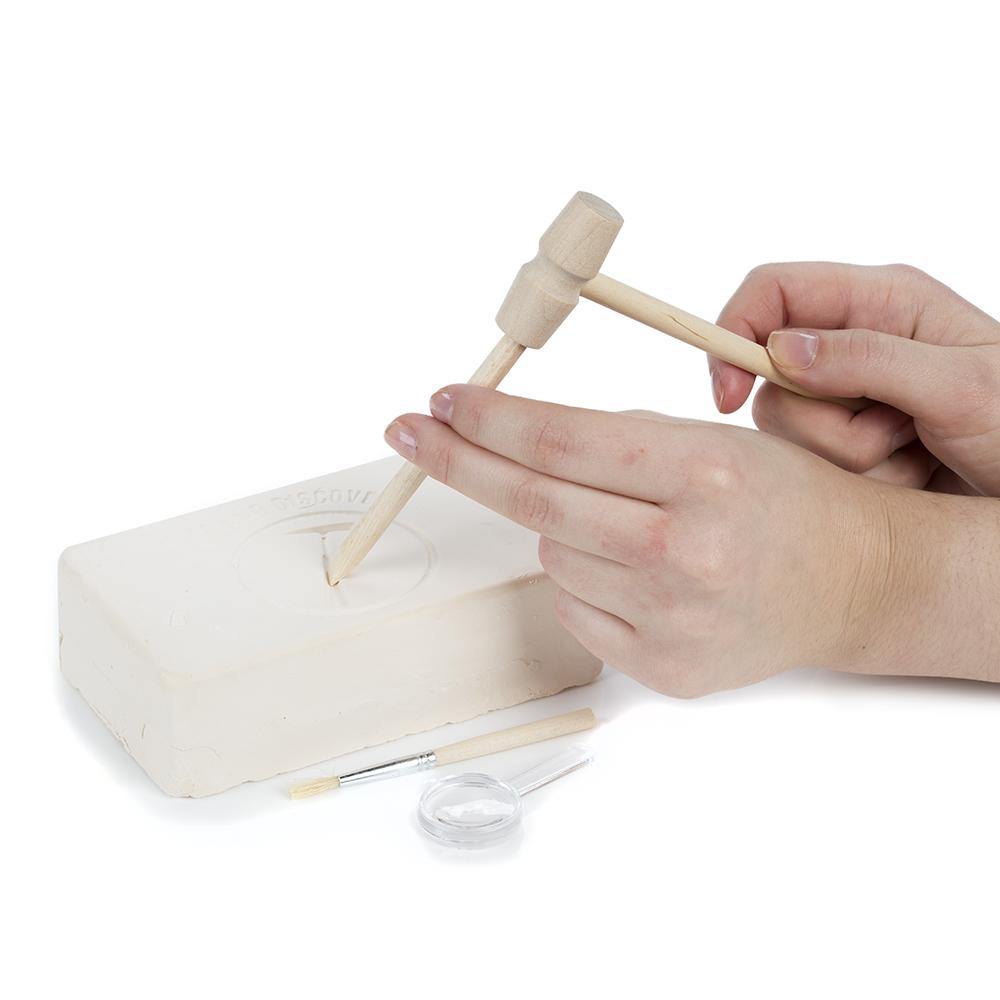 Real Fossil Excavation Dig Kit Gemstones - Science Museum Shop